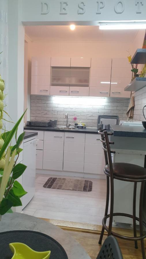 Despot Apartmani Ni Exteriör bild