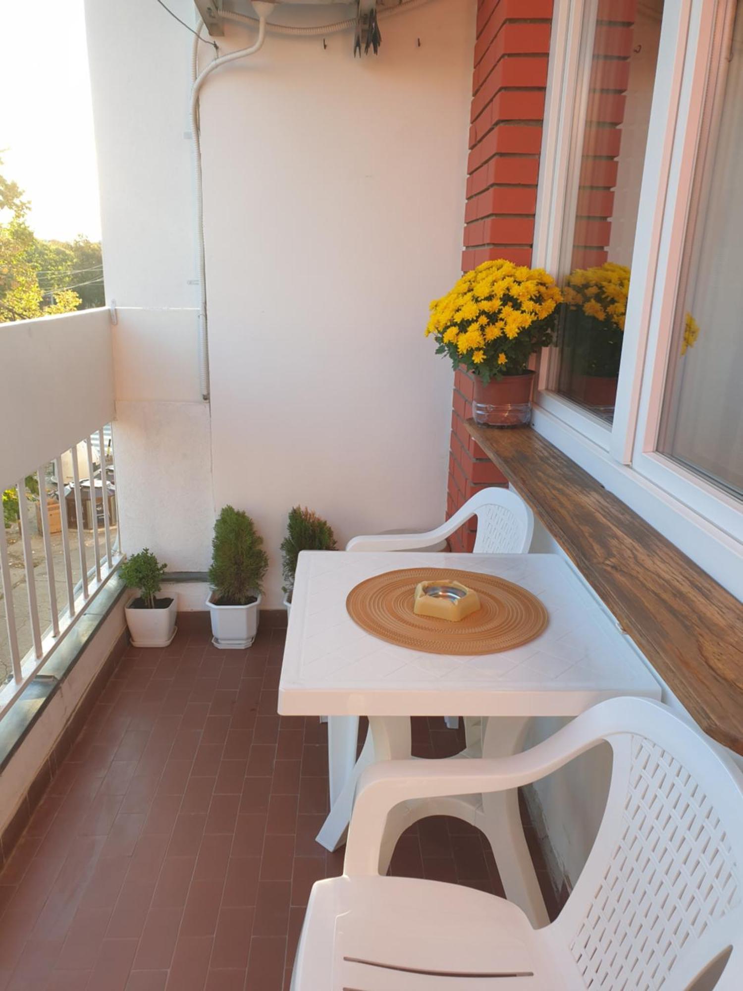 Despot Apartmani Ni Exteriör bild